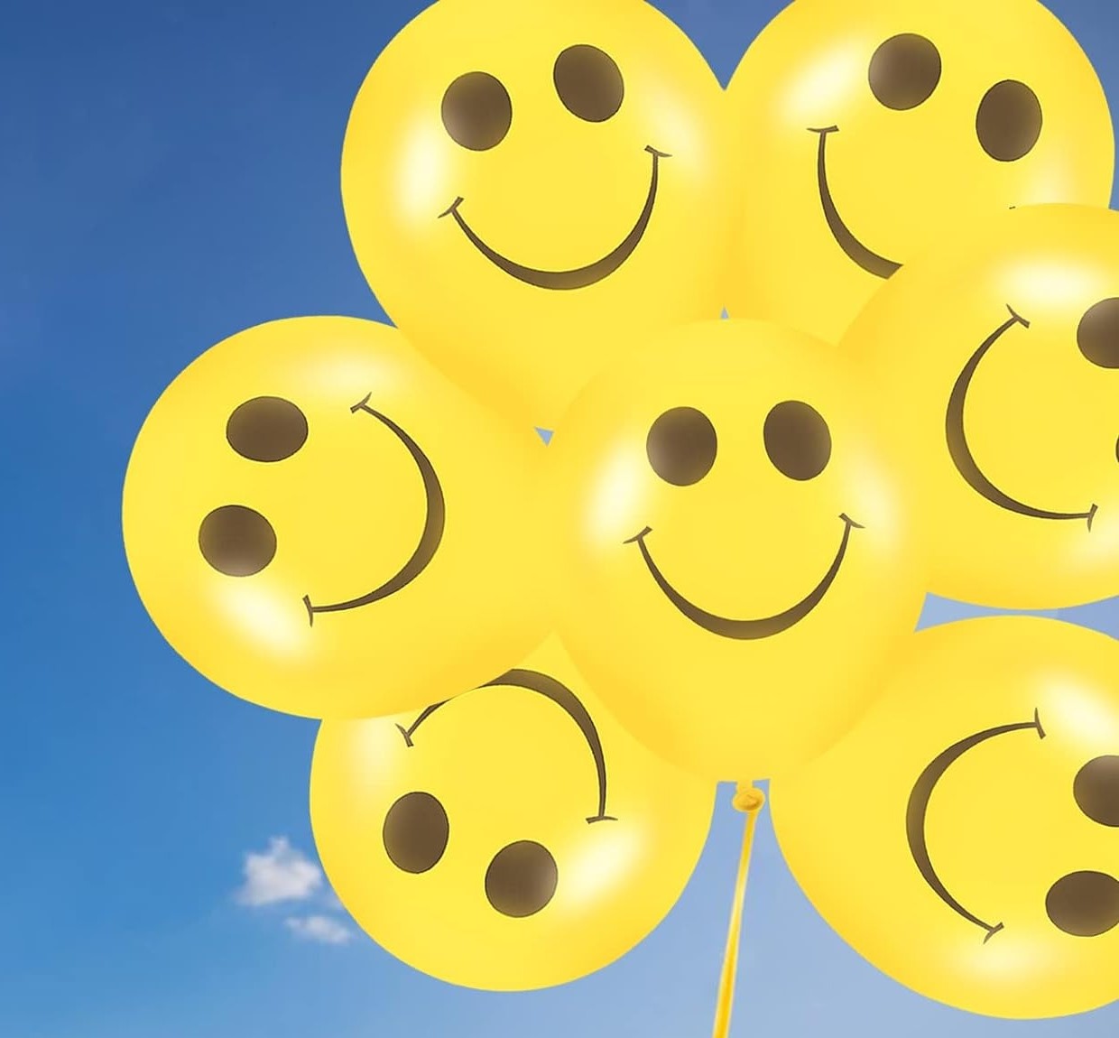 61ol9lvSv-L._AC_SL1500_