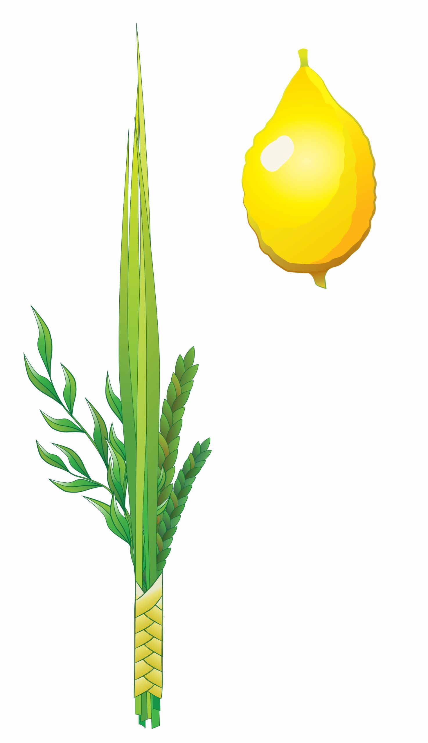 PA518 PAPER CUTOUT LULOV AND ESROG