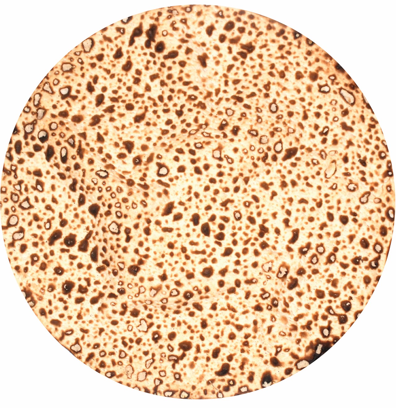 PA521 PAPER CUTOUT MATZAH 2 IN